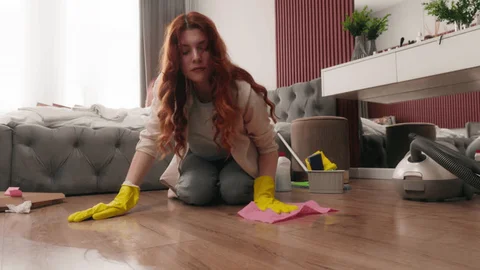 Project 1 – HEBE'S CLEANING LLC